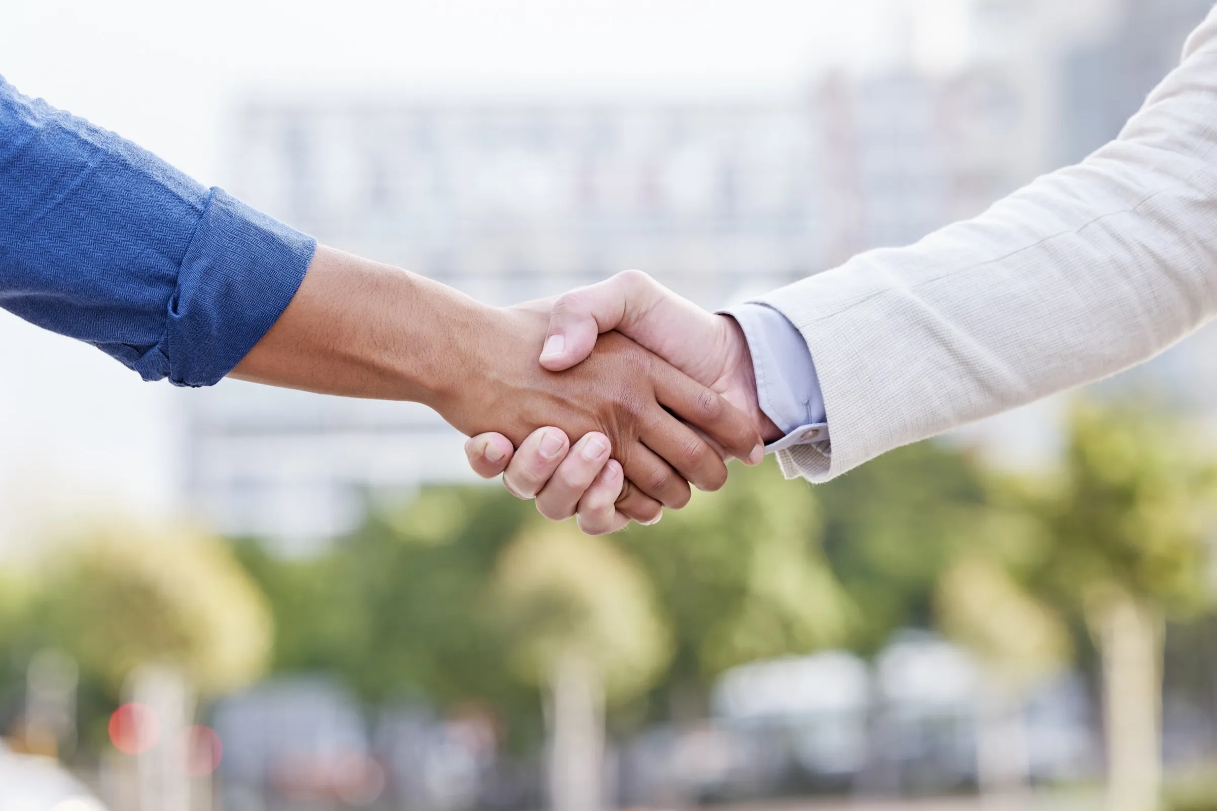 Two professionals shaking hands